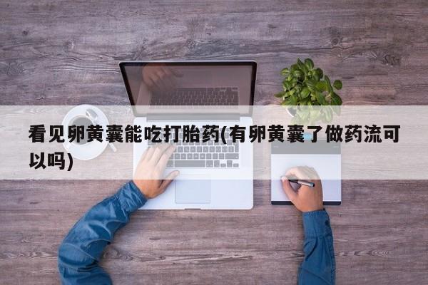 在哪里买流产药包邮看见卵黄囊能吃打胎药(有卵黄囊了做药流可以吗)