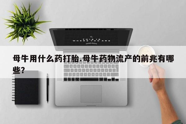 在哪里买流产药包邮母牛用什么药打胎.母牛药物流产的前兆有哪些？